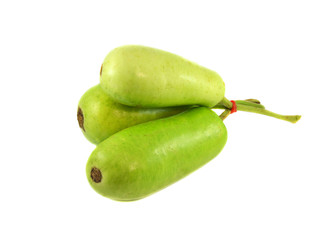 Bottle gourd isolated / Fresh of green bottle gourd vegetable for food isolated on white background