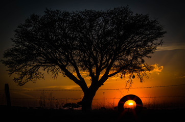 Atardecer