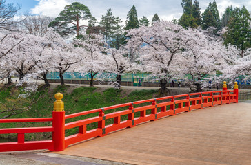 Cherry blossom and red bridge at Tsuruga-jo castle, Aizu-wakamatsu, Japan.