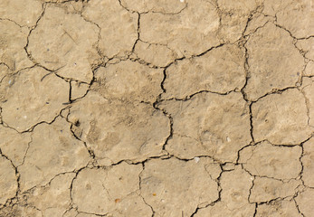 Cracked dry land surface background