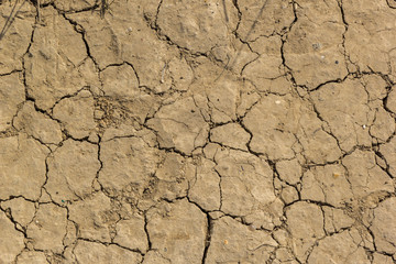 Cracked dry land surface background