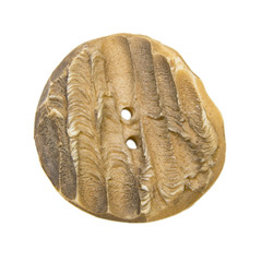 Large bone sewing button on isolated background 