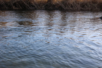 Flowing water in a river