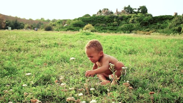 Cute little afro-american boy plays and crawls on grass in a sunny day in the lawn. Baby taking their first steps.