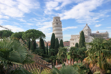 Fototapeta na wymiar Panoramic view from city wall to leaning tower of Pisa, symbol of Italy, and cathedral with green cypress and palm tree, Tuscany