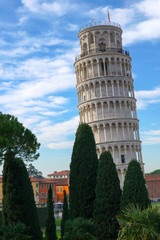 View to Pisa leaning tower from city wall with green cypress and palm tree, Tuscany, Italy