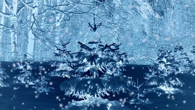 Forest trees covered snow at night in winter. Fantastic Fairytale Magical Landscape. Christmas Winter New Year Scenery. Snowfall falling snowflakes blizzard snowstorm. Seamless loop backdrop