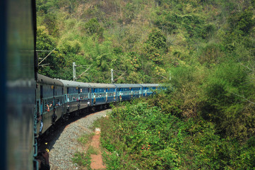 journey through forest