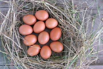 Chicken eggs in nest of straw on old wooden background.