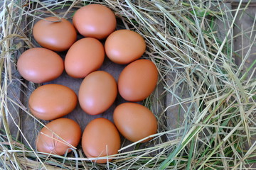 Chicken eggs in nest of straw on old wooden background.