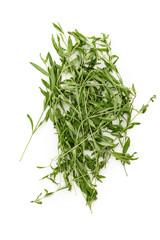 Tarragon herbs close up isolated on white background
