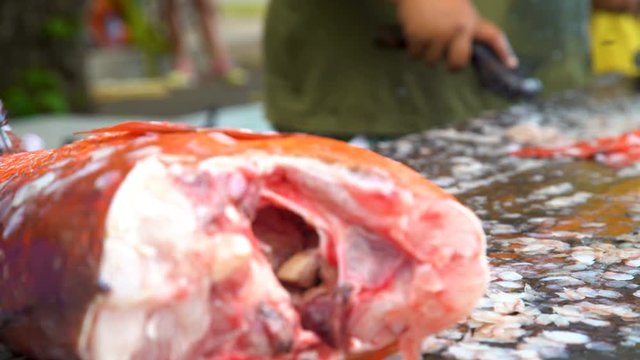 Marquesan men cleaning fresh fish Taiohae Marquesas Pacific