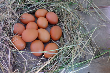 Chicken eggs in nest of straw on old wooden background.