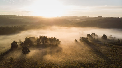 Beautiful sunrise image of drone aerial view of Autumn Fall forest scene landscape