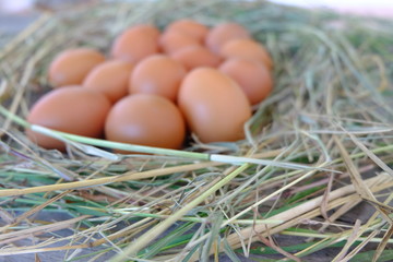 Chicken eggs in nest of straw on old wooden background.