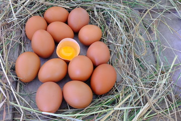 Chicken eggs in nest of straw on old wooden background.