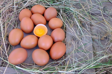 Chicken eggs in nest of straw on old wooden background.