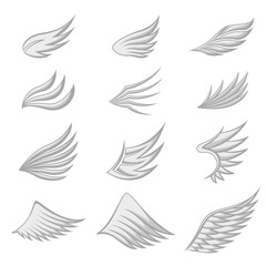 Fototapeta premium Set of gray wings on white background