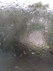 Raindrops on glass on a gray blurred nature background.