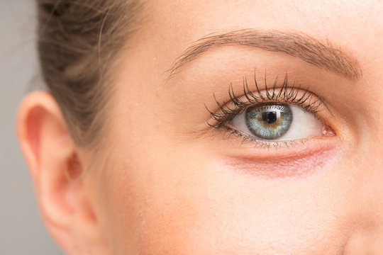 Dry skin on eyelid, macro image