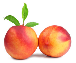 Nectarine isolated on white