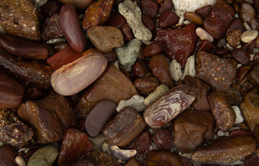 shore gravel texture
