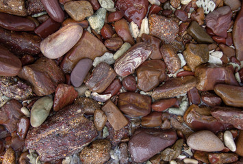 shore gravel texture