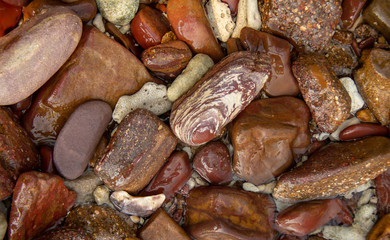 shore gravel texture