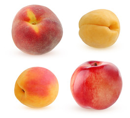 peach, apricot and nectarine isolated on white background.