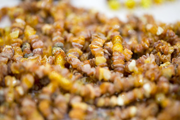 Raw amber stones, simple beads. Close-up. Amber background.