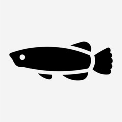 Glyph Arowana pixel perfect vector icon