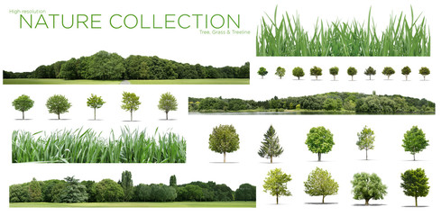 Very high definition Treeline, grass and tree collection isolated on a white background