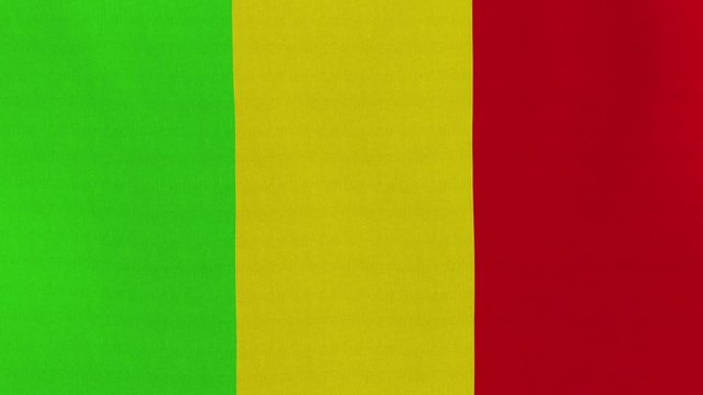 Loopable: Flag of Mali...Malinese official flag gently waving in the wind. Highly detailed fabric texture for 4K resolution. 15 seconds loop.