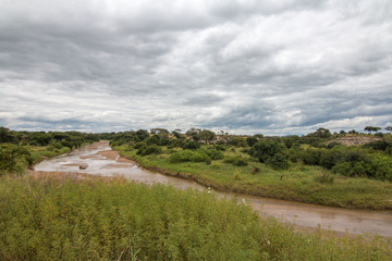 Fototapeta na wymiar river in Tarangire National Park 