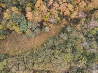 Fototapeta na wymiar Beautiful bird's eye view drone landscape image during Autumn Fall of vibrant forest woodland