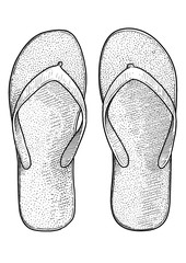 FLip flop illustration, drawing, engraving, ink, line art, vector