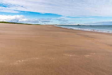 Fototapeta na wymiar The Beach at Ross Sands, near Seahouses in Northumberland, England, UK