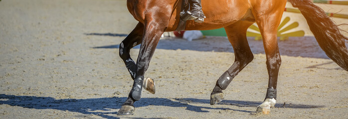 Sorrel dressage horse and rider in uniform performing jump at show jumping competition. Equestrian...