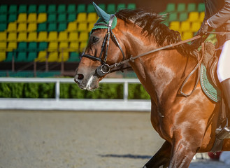 Sorrel dressage horse and rider in uniform performing jump at show jumping competition. Equestrian...