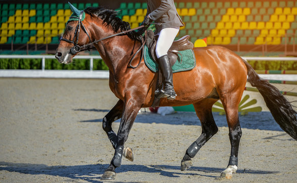 Sorrel dressage horse and rider in uniform performing jump at show jumping competition. Equestrian sport background. Chesnut horse portrait during dressage competition. Selective focus.