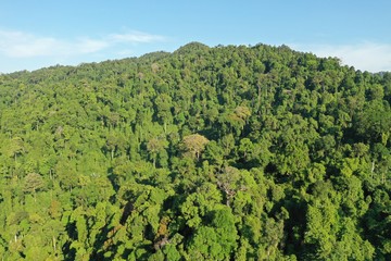Fototapeta na wymiar Aerial photo tropical rainforest in Sumatra, Indonesia 