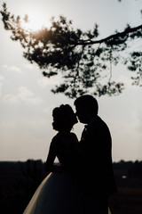 silhouette of the bride and groom in a wedding dress on a Sunny day
