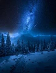 Rolgordijnen Tatras Mountains in winter at night and falling stars © shaiith