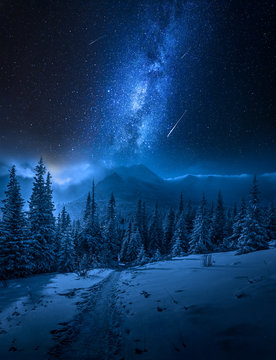 Fototapeta Tatry zimą w nocy i spadające gwiazdy