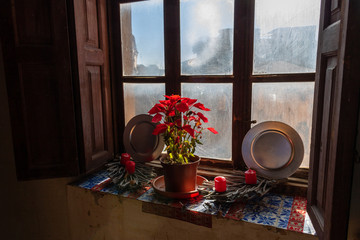 Window decorated with red christmas plants