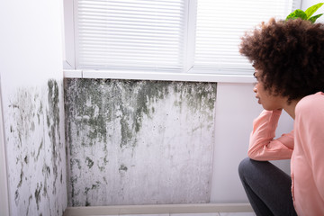 Woman Looking At Mold On Wall - obrazy, fototapety, plakaty