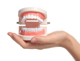 Fototapeta na wymiar Woman holding educational model of oral cavity with teeth on white background