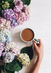 Hand holding coffee cup at beautiful hydrangea flowers on rustic white wood, flat lay. Good morning concept. Colorful pink, blue, green hydrangea. Hello spring. Happy mothers day