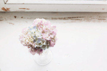 Beautiful hydrangea flowers in vintage glass with water on rustic white wood of old windowsill. Countryside still life. Happy mothers day. Creative tender spring image. Space for text