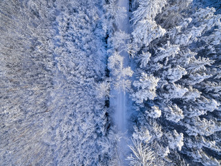 Luftaufnahme: Wald im Winter